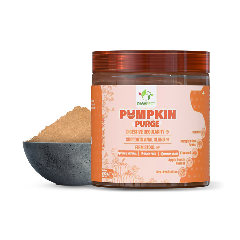 Pawfect Pumpkin Purge daily Topper for Dogs | 100% Natural | Enriched with Apple Pectin powder, Flaxseeds, Pre & Pro Biotics | Digestive Regularity | Firm Stool | Supports Anal Gland (250g/8.8oz)