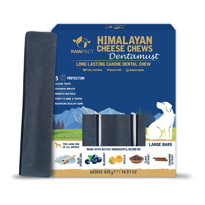 Pawfect Dentamust Himalayan Cheese Chews with Blueberry & Papaya for Dogs|Long lasting dental chews with Superfoods |All Natural, High protein|Grain-free| Pack of 3 for Large Dogs (420g/14.81oz)