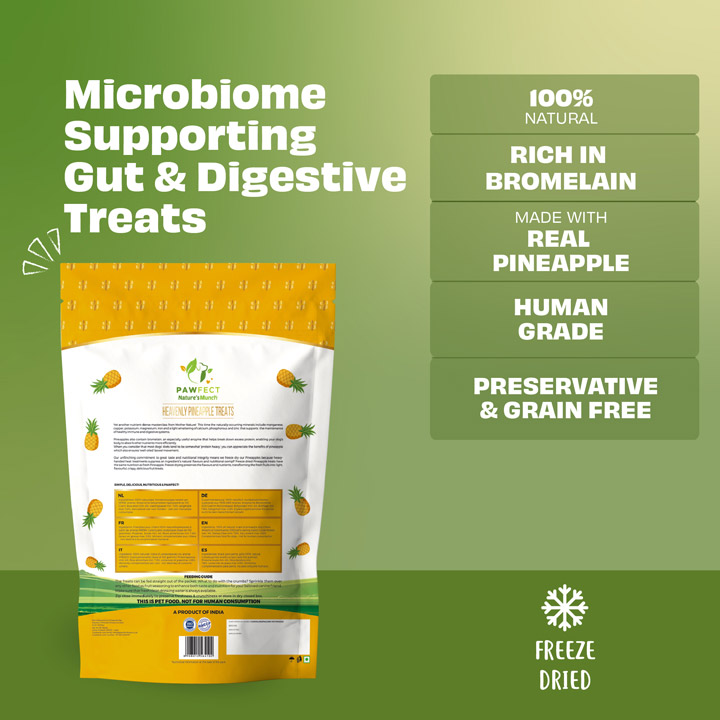 Pawfect Nature's Munch Freeze-Dried Heavenly Pineapple Treats for Dogs | Hypoallergenic, Grain-Free | Improves Digestion | Anti-Inflammatory Vegan Treats (40g/1.41oz)