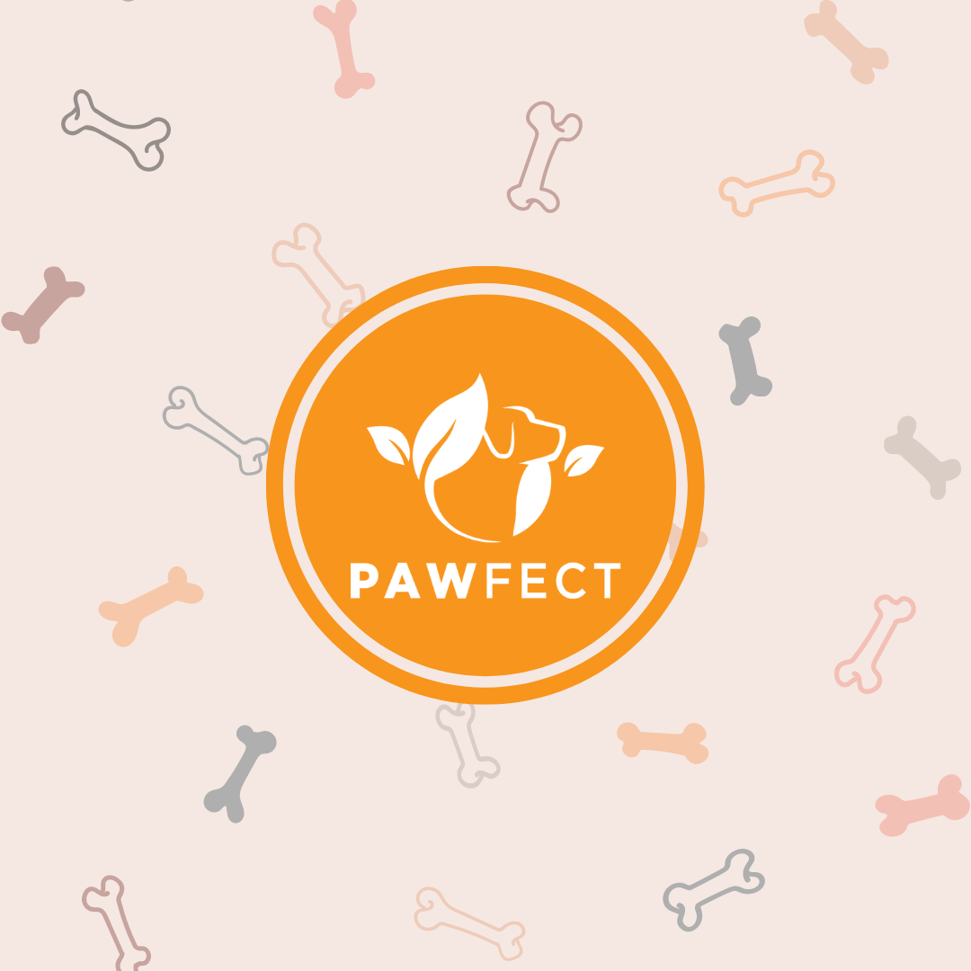 Pawfect Dentamust Himalayan Cheese Chews with Aloe, Honey & Green Tea for Dogs| Long lasting dental chew with Superfoods |All Natural, High protein, Grain-free| Pack of 1 for Large Dogs (140g/4.94oz)
