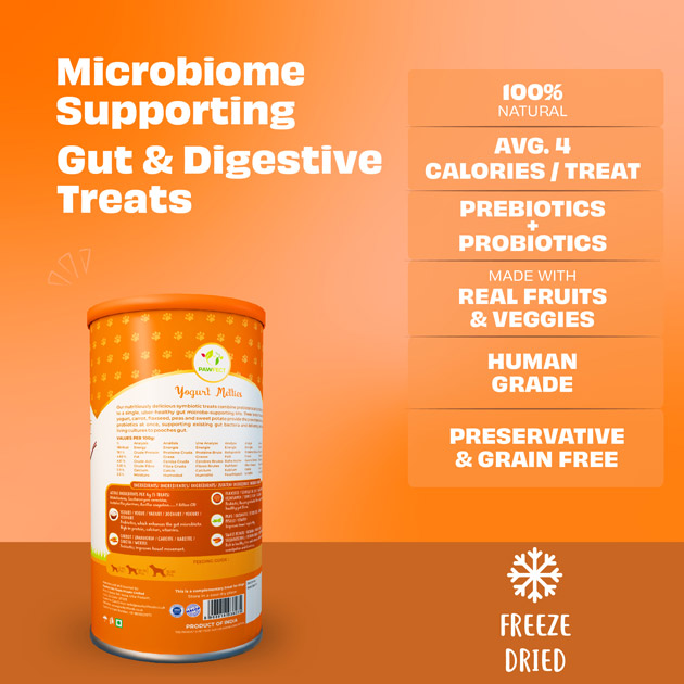 Pawfect Yogurt Melties Pre and Probiotic Dog Treats with Carrot, Flaxseed, Pea & Sweet Potato | Healthy Gut | Low Calories | Grain & Gluten Free | Reward or Training Treats (38g/1.34oz)