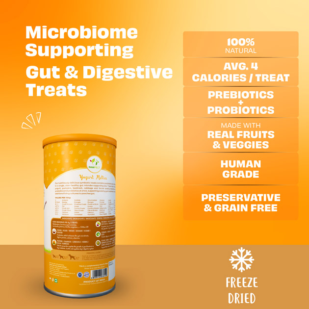 Pawfect Yogurt Melties Pre and Probiotic Dog Treats with Pumpkin, Beetroot, Cabbage & Fennel Seeds | Healthy Gut | Low Calories | Grain & Gluten Free | Reward or Training Treats (38g/1.34oz)