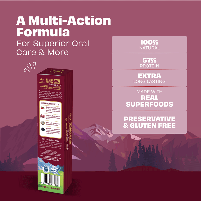 Pawfect Dentamust Himalayan Cheese Chew with Cranberry & Pomegranate for Dogs|Long lasting dental chews with Superfoods |All Natural, High protein|Grain-free | Pack of 1 for Large Dogs (140g/4.94oz)