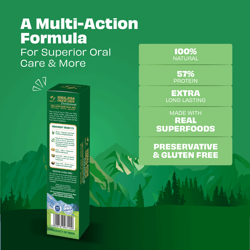 Pawfect Dentamust Himalayan Cheese Chews with Aloe, Honey & Green Tea for Dogs| Long lasting dental chew with Superfoods |All Natural, High protein, Grain-free| Pack of 1 for Large Dogs (140g/4.94oz)