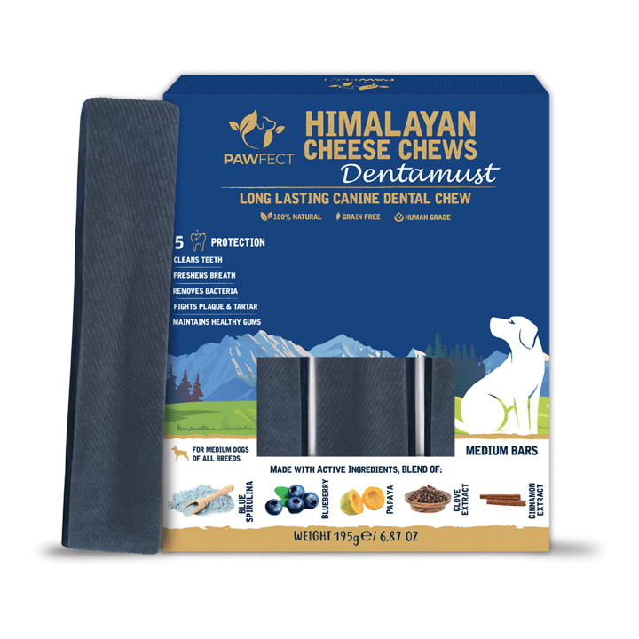 Pawfect Dentamust Himalayan Cheese Chews with Blueberry & Papaya for Dogs|Long lasting dental chews with Superfoods |All Natural, High protein|Grain-free | Pack of 3 for medium Dogs (195g/6.88oz)