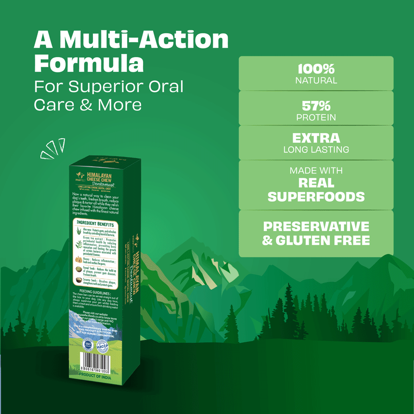 Pawfect Dentamust Himalayan Cheese Chew with Aloe, Honey & Green Tea for Dogs| Long lasting dental chew with Superfoods |All Natural, High protein| Grain-free | Pack of 1 for medium Dogs (70g/2.47oz)