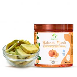 Pawfect Freeze Dried Pumpkin Vegan Treats for Dogs | All Natural