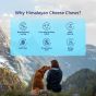 Buy Royal Enfield yak chews for dogs Online