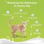 Buy Royal Enfield goat milk powder for cats Online