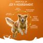 Buy Royal Enfield goat milk powder for dogs Online