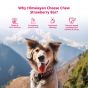 Buy Royal Enfield Pawfect Himalayan Cheese Chews with Strawberry for Large Dogs| 100% Natural Dental Stick| Cleans teeth| Removes Plaque and Tartar|High protein| Grain-free | Long lasting chew |Pack of 3 (420g/14.81oz) Online