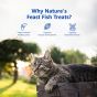 Buy Royal Enfield healthy cat treats Online