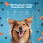 Buy Royal Enfield yak chews for dogs Online