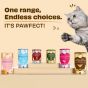 Buy Royal Enfield natural cat treats Online