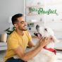 Buy Royal Enfield Medium dog chews Online