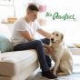 Buy Royal Enfield natural chews for dogs Online