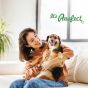 Buy Royal Enfield Dog oral health tips Online