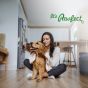 Buy Royal Enfield Pawfect Goat Milk Powder for Dogs Online