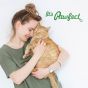 Buy Royal Enfield milk replacer for cats Online