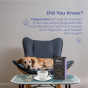 Buy Royal Enfield Pawfect Doggy's Cuppa -Soothing Brew  Online