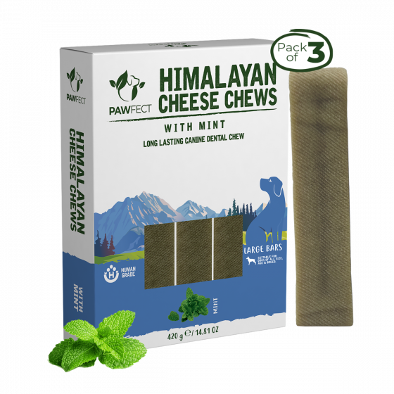 Buy Royal Enfield Himalayan Cheese Dental Chew Bar with Mint (3 bars of 140g) Online