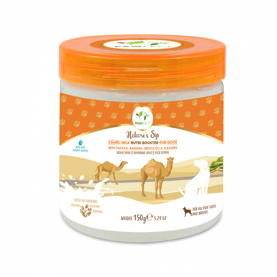 Buy Royal Enfield Pawfect Nature's Sip Camel Milk Powder with Papaya, Banana, Broccoli & Flaxseeds for Dogs| Easily Digestible| Pre & Probiotics| Healthy Topper| Low Glycemic| Hydration Support| 30 scoops(150g/5.29oz) Online