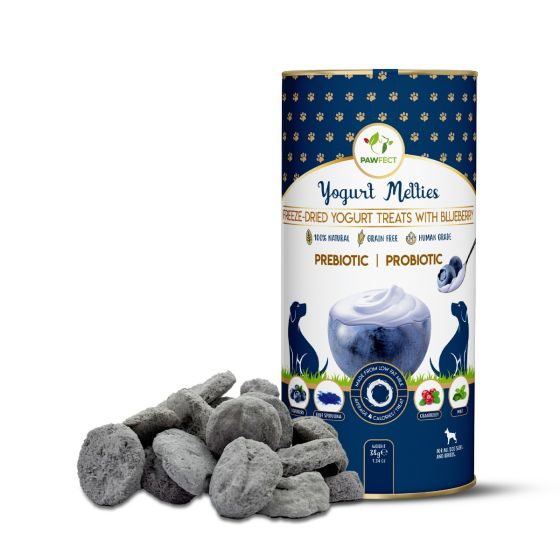 Buy Royal Enfield Pawfect Yogurt Melties Pre and Probiotic Dog Treats with Blueberry, Cranberry, Blue Spirulina & Mint | Healthy Gut | Low Calories | Grain & Gluten Free | Reward or Training Treats (38g/1.34oz) Online