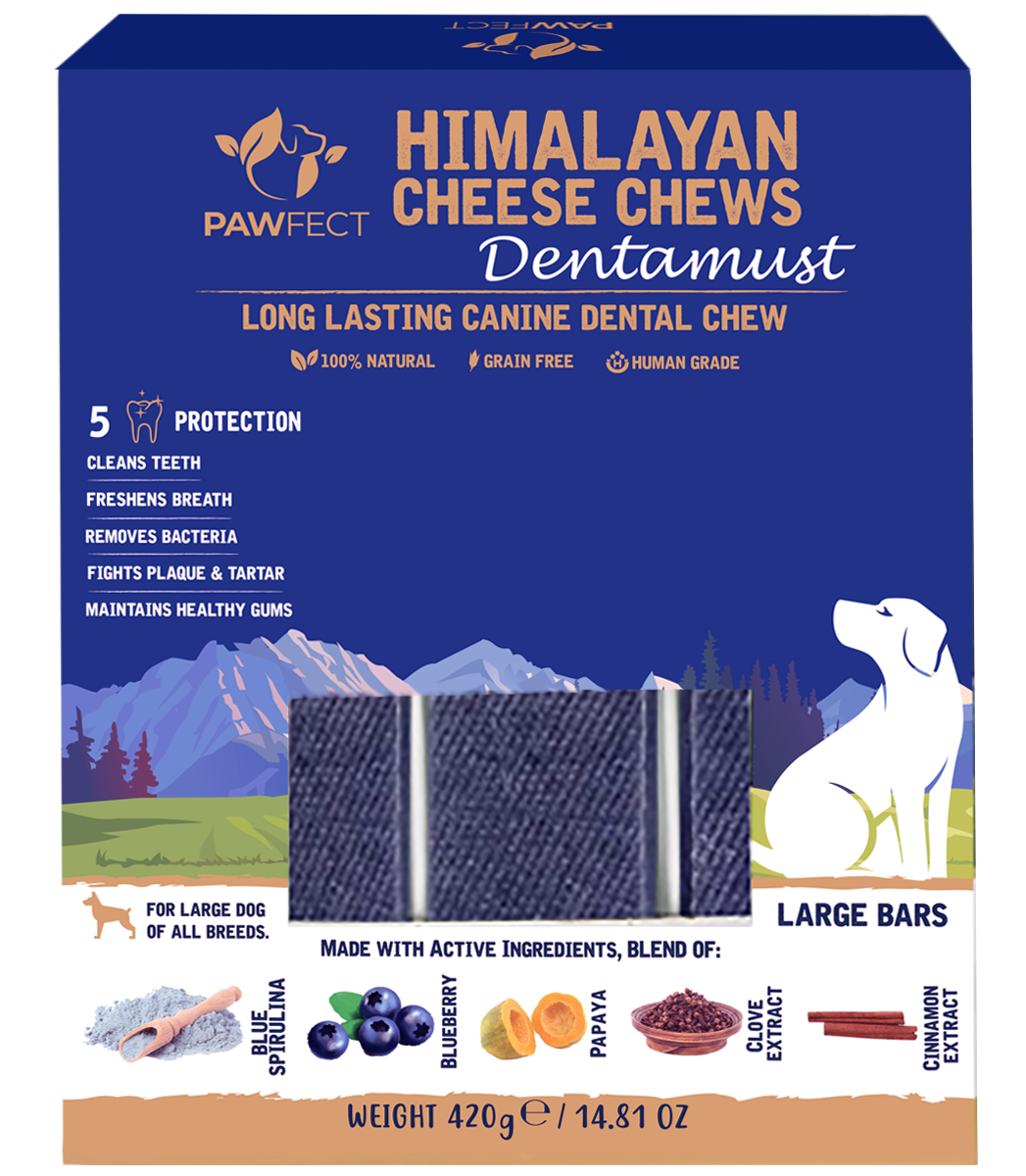 Pawfect Dentamust Himalayan Cheese Chews with Blueberry & Papaya for Dogs|Long lasting dental chews with Superfoods |All Natural, High protein|Grain-free| Pack of 3 for Large Dogs (420g/14.81oz)