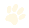 Paw Image